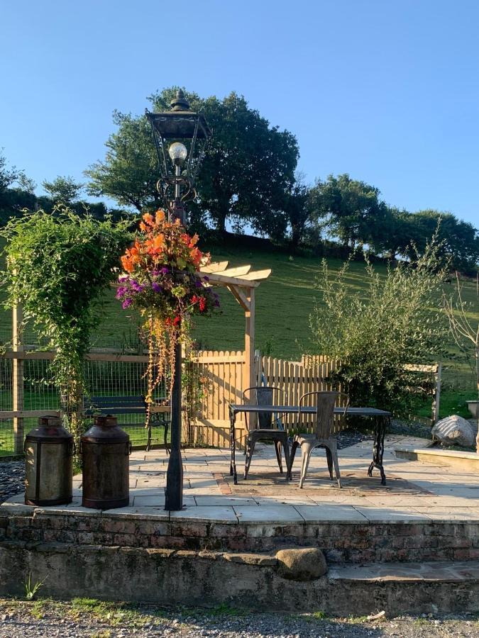Molehill Lodge Swansea Eksteriør bilde