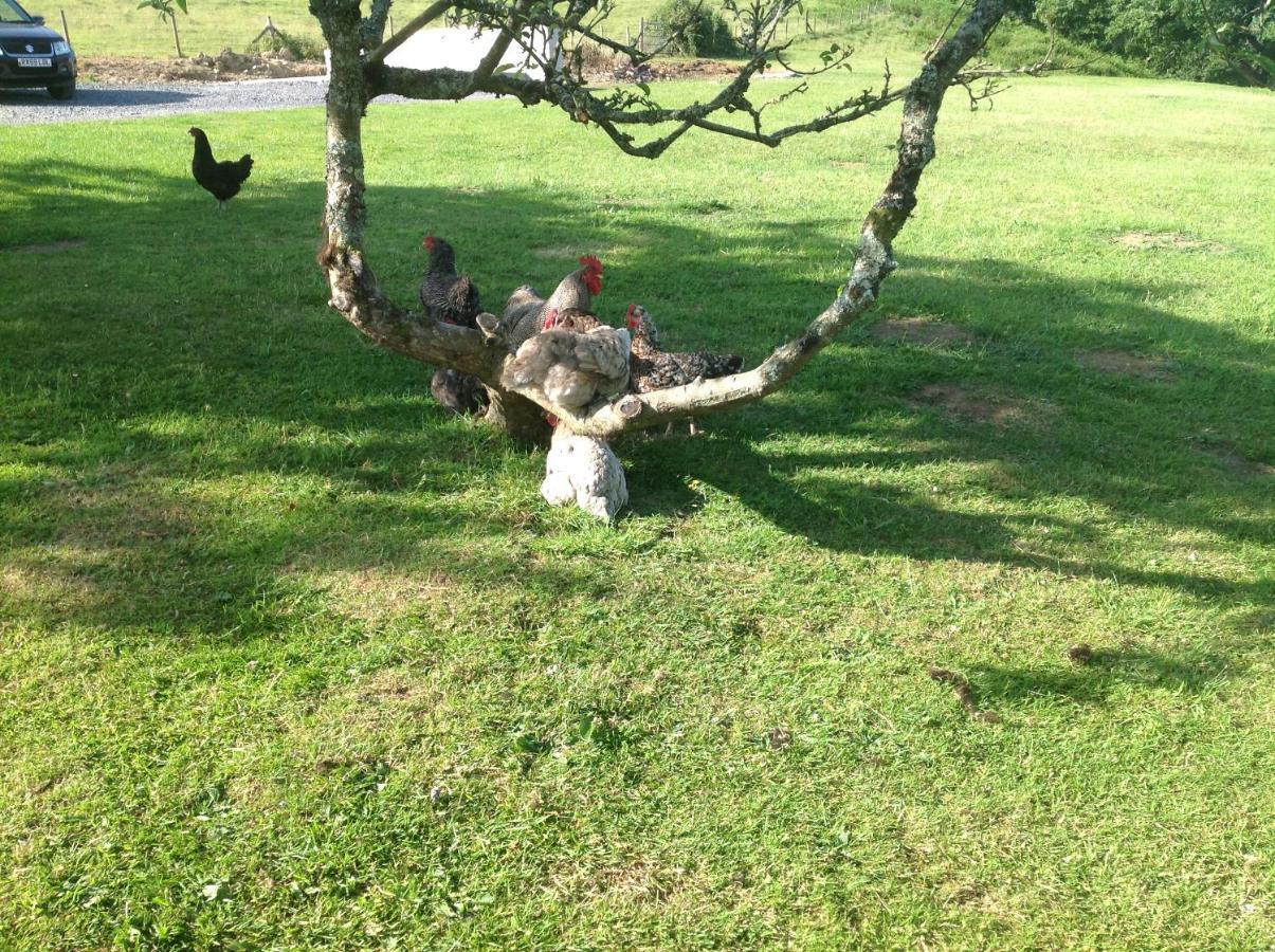 Molehill Lodge Swansea Eksteriør bilde