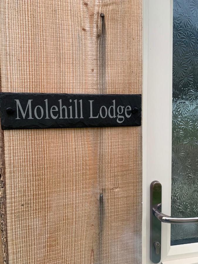 Molehill Lodge Swansea Eksteriør bilde