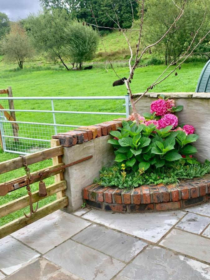 Molehill Lodge Swansea Eksteriør bilde