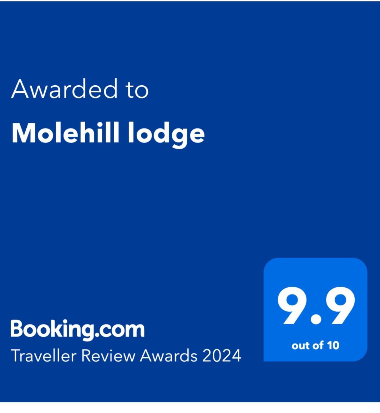 Molehill Lodge Swansea Eksteriør bilde