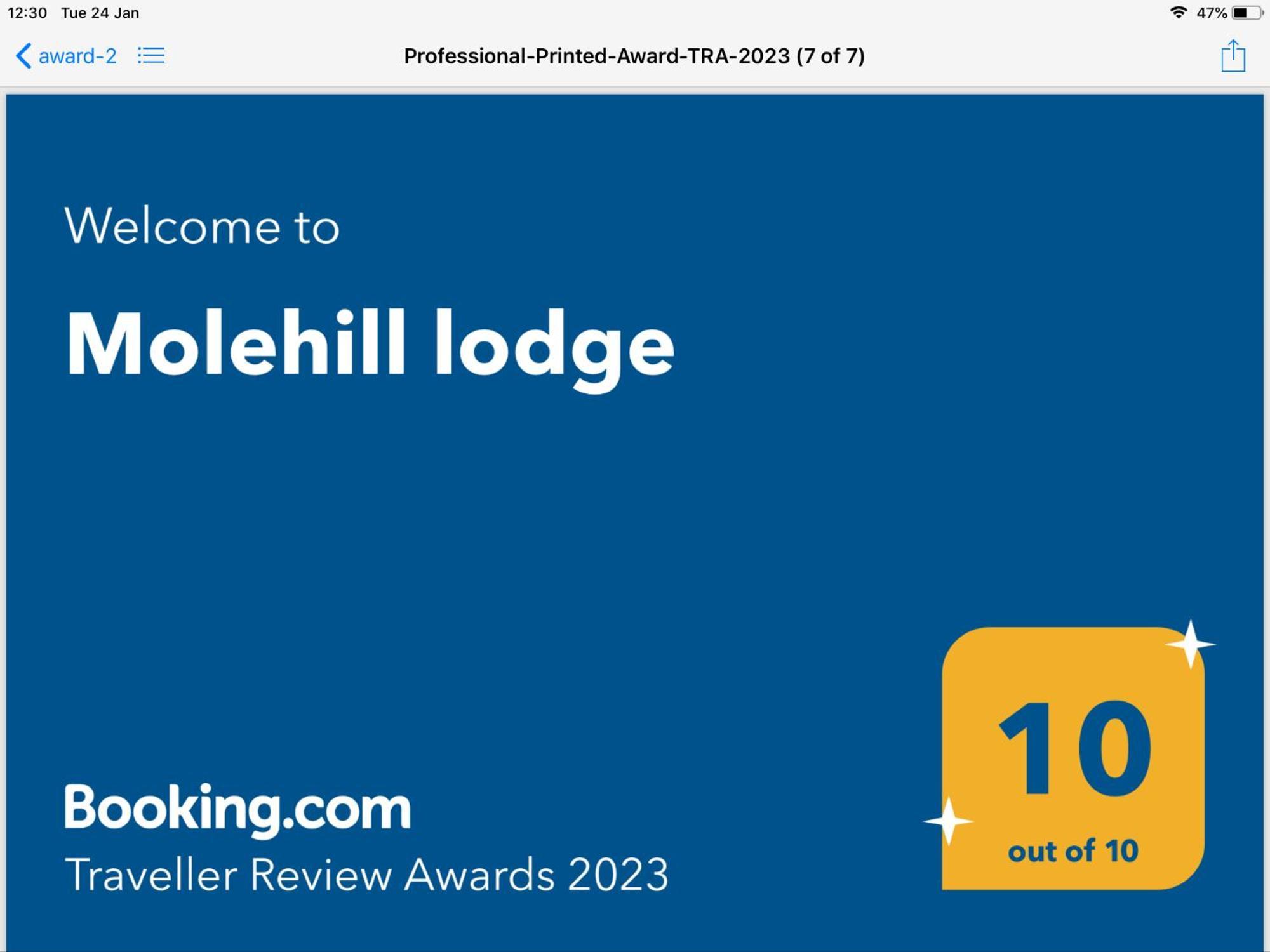 Molehill Lodge Swansea Eksteriør bilde
